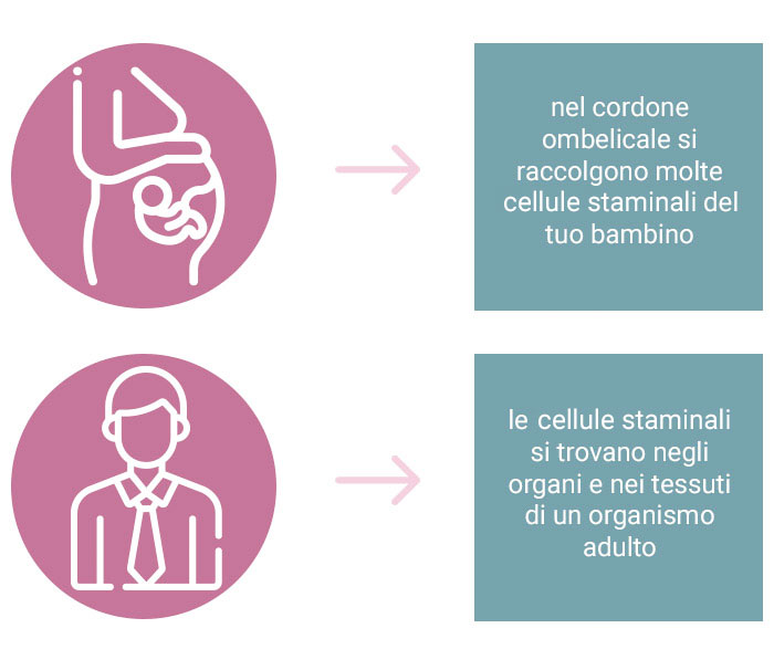 Cellule staminali neonato/adulto