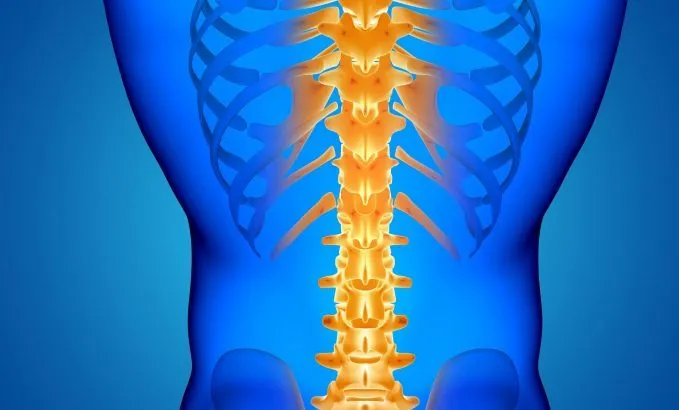 Staminali mesenchimali contro le lesioni del midollo: sono sicure!