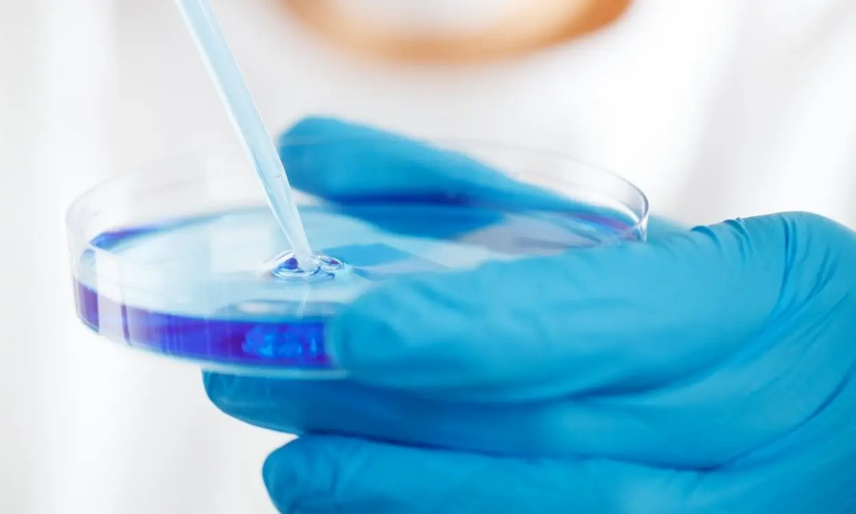 Pro e contro cellule staminali