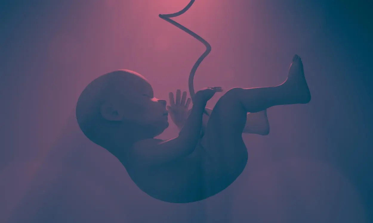 World Cord Blood Day