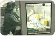 Estrazione del sangue per il test Estrazione del sangue per il test