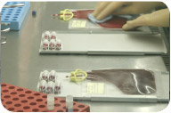 Inserimento dei piccoli campioni di sangue Inserimento dei piccoli campioni di sangue